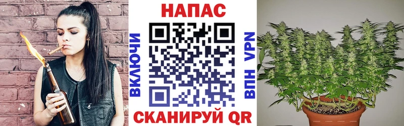 мега сайт Ивангород Бошки Шишки MAZAR сколько стоит